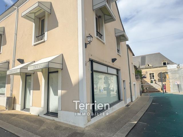 Immeuble en pleine propriété