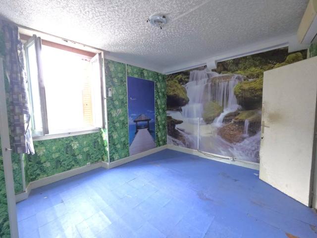 Maison avec jardin et garage