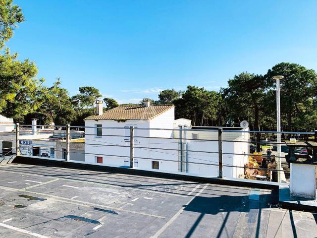 Immeuble La Palmyre: appartement 2 pièce s avec terrasse et l