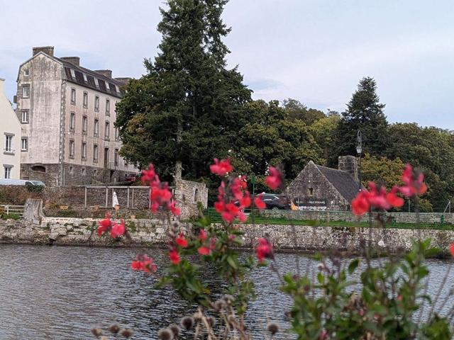 Immeuble Morlaix 29