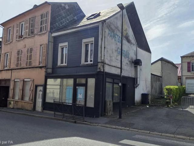IMMEUBLE POUR INVESTISSEUR UNIQUEMENT LES MÛRS