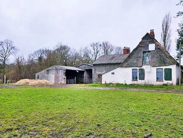 immo schramm.de: Resthof mit Stall und Weideland in Einzellage