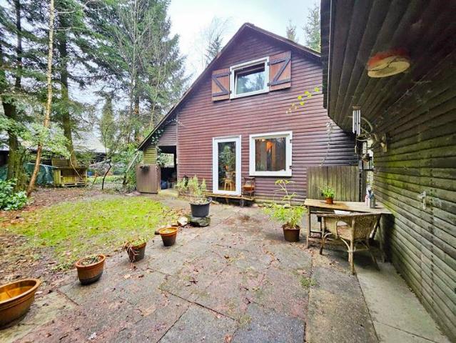 immo schramm.de: Wohnen wie im Wald: Holzhaus auf Naturgrundstück