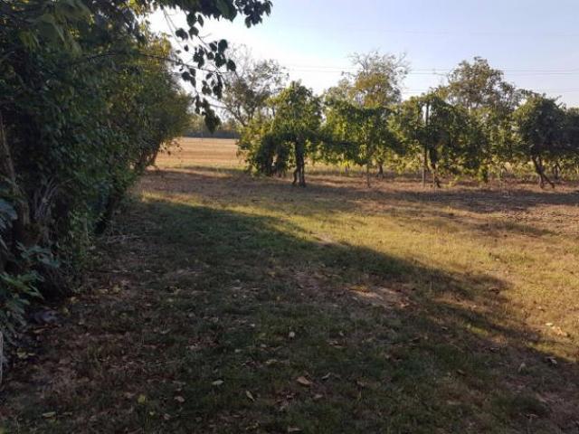 Immobile di 160 m in vendita a Carpi