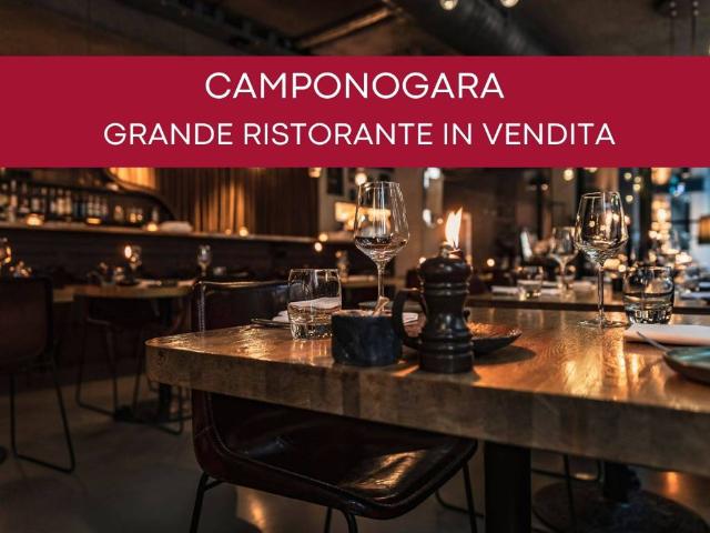 Immobile in vendita a Camponogara VE