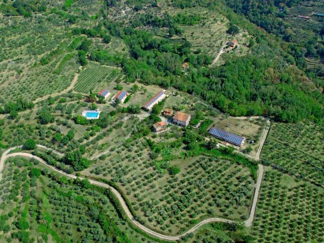 Immobile in vendita a Castelfranco Piandisco AR