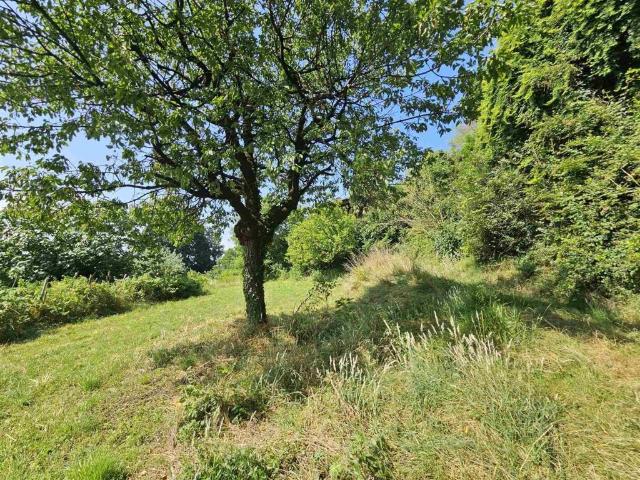 Terreno in vendita a Castelli Calepio BG