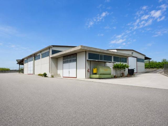 Immobile in vendita a Castelnuovo del Garda VR