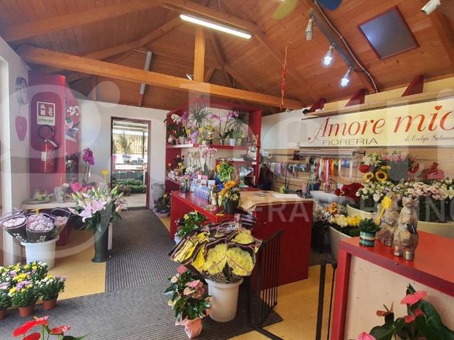 Immobile in vendita a Cividale del Friuli UD