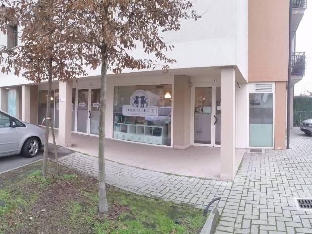 Immobile in vendita a Cremona CR