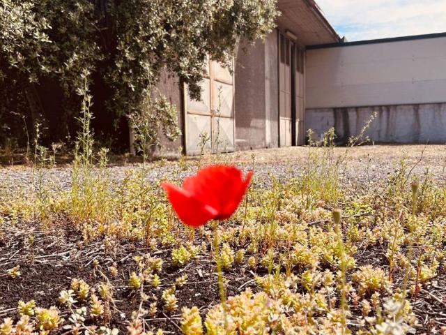 Immobile in vendita a Giarre CT