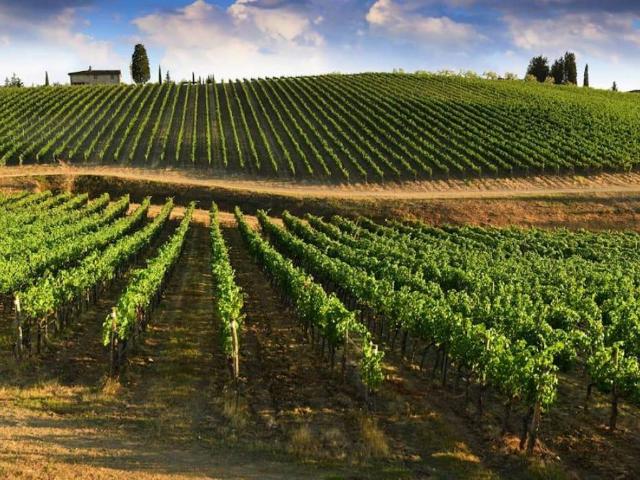 Immobile in vendita a Greve in Chianti FI