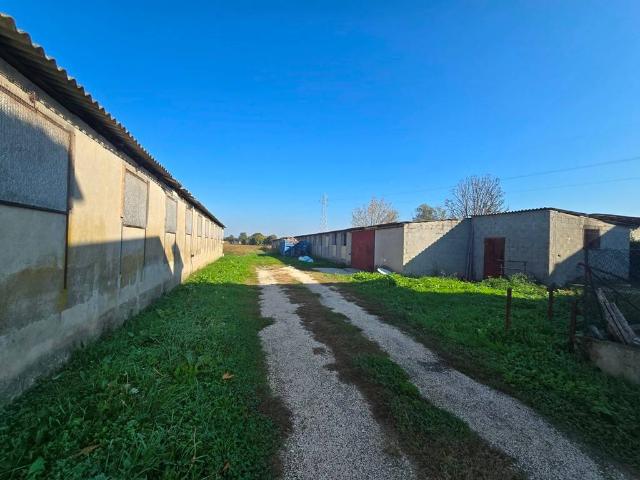 Immobile in vendita a Fossò VE