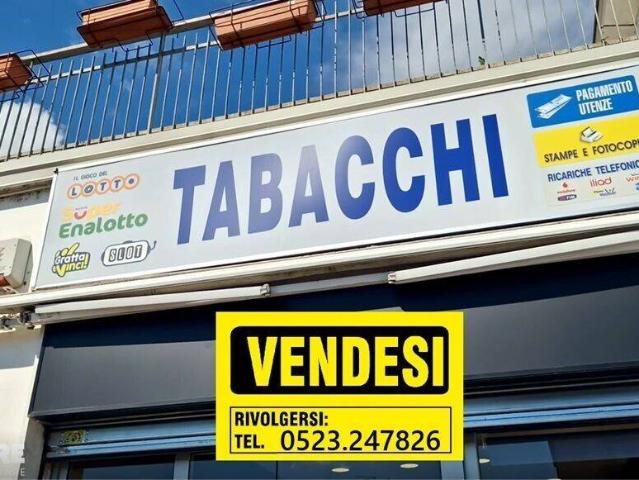 Immobile in vendita a Fiorenzuola d'Arda PC