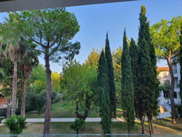 Attività / Licenza in vendita a Francavilla al Mare CH