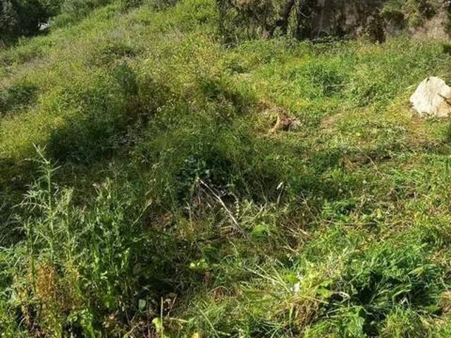 Immobile in vendita a Ogliastro Cilento SA