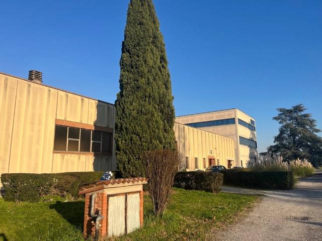 Immobile in vendita a Ostiglia MN