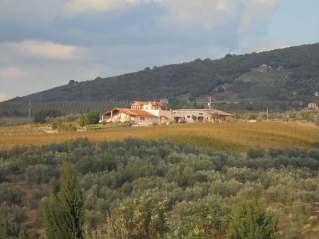 Immobile in vendita a Montecchio TR
