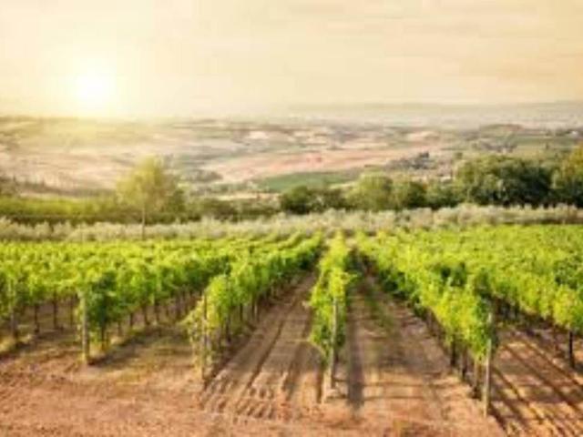Immobile in vendita a Montepulciano SI