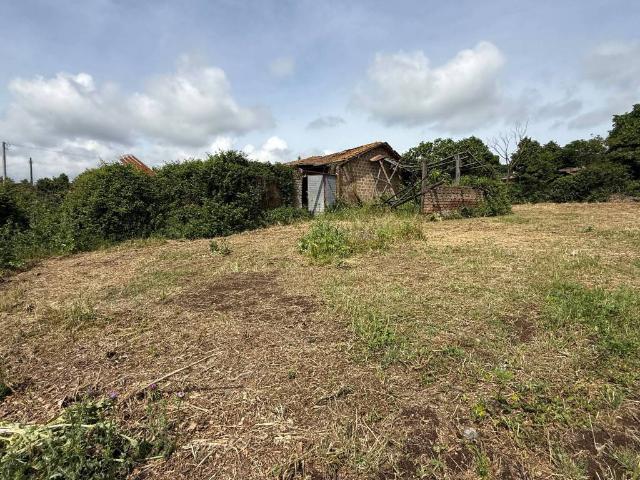 Immobile in vendita a Monterosi VT