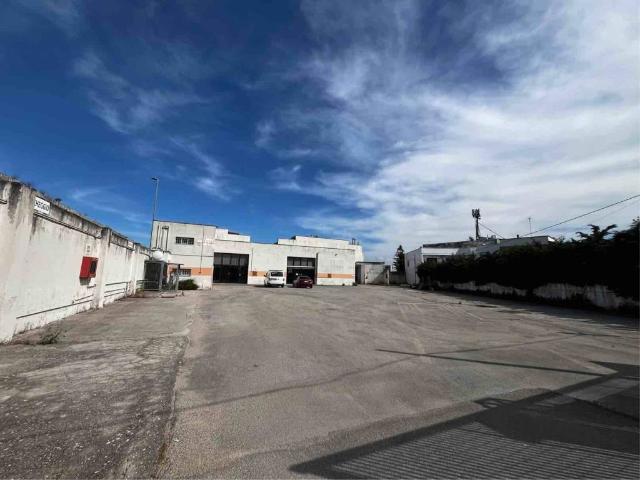 Immobile in vendita a San Cesario di Lecce LE