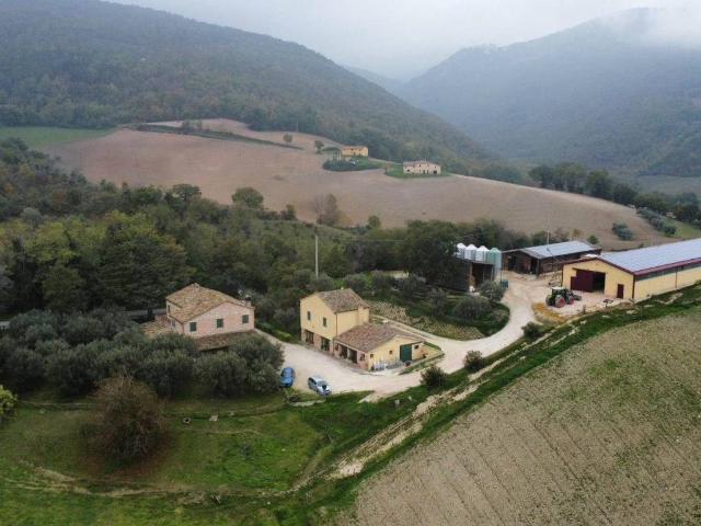 Immobile in vendita a San Severino Marche MC