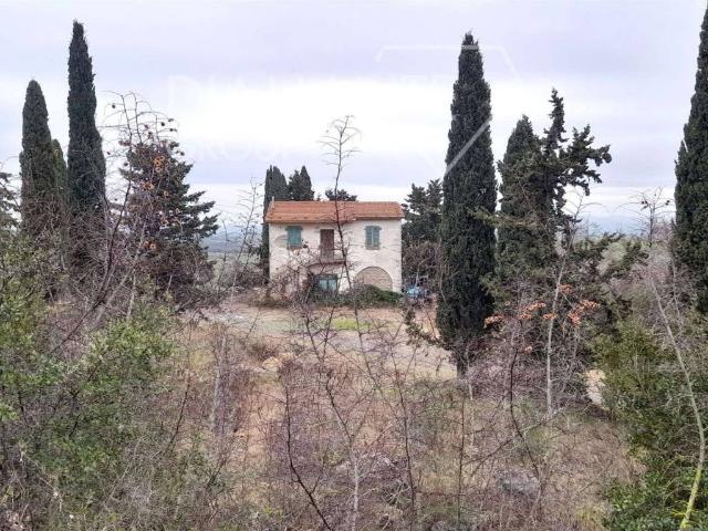 Rustico / Casale in vendita a Scansano GR