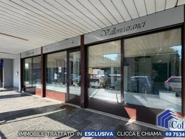 Attività / Licenza in vendita a Rodano MI
