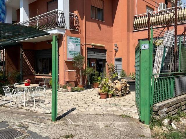 Immobile in vendita a Ronciglione VT