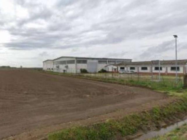 Immobile in vendita a Rosasco PV