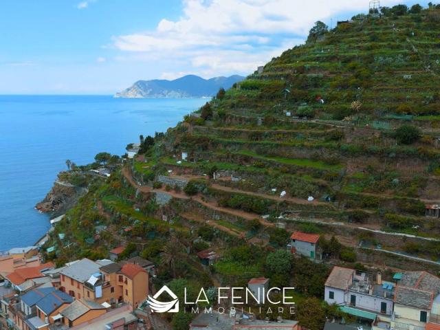 Immobile in vendita a Riomaggiore SP