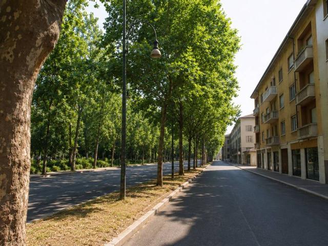 Immobile in vendita a Torino TO