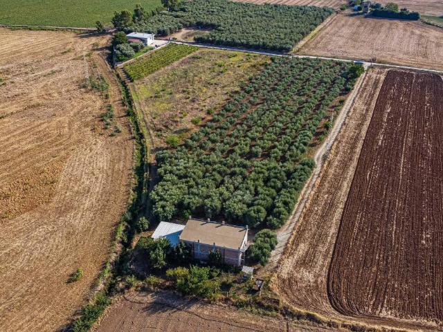 Immobile in vendita a Tarquinia VT