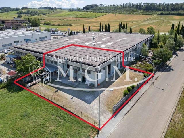 Immobile in vendita a Terricciola PI