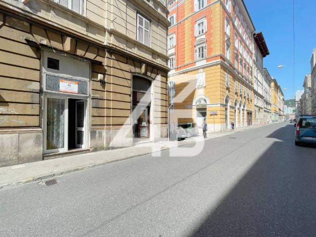 Immobile in vendita a Trieste TS