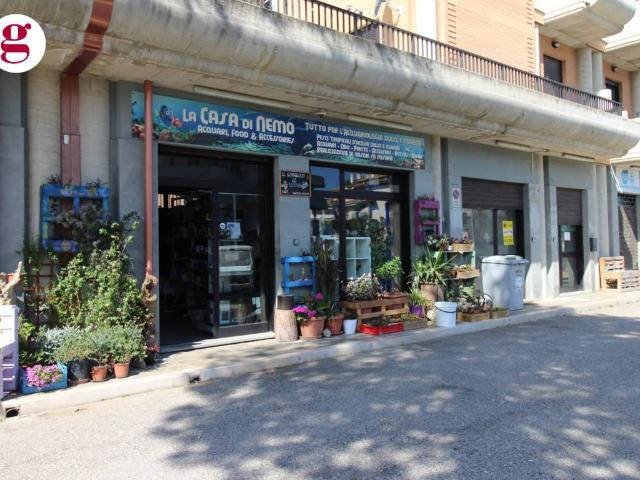 Immobile in vendita a Vasto CH