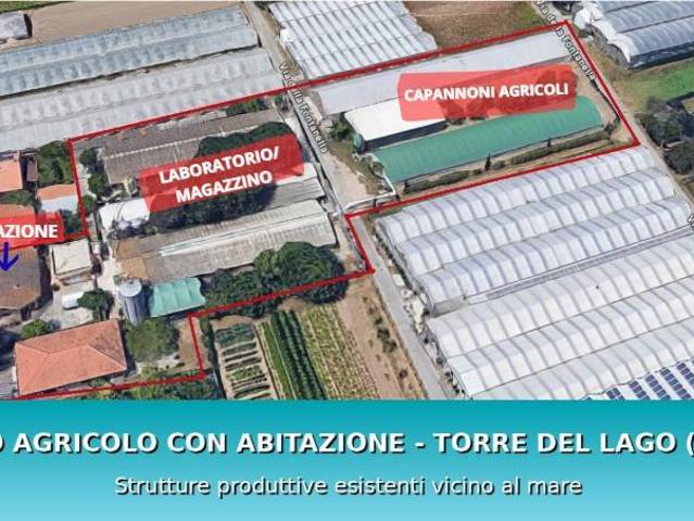 Immobile in vendita a Viareggio LU