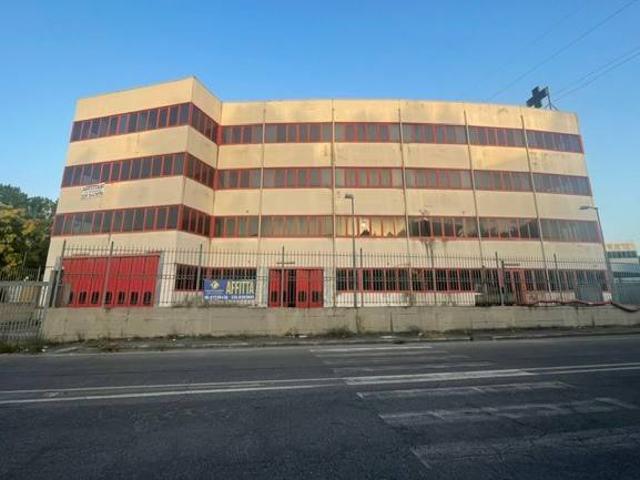 Immobile in affitto a Colleferro RM