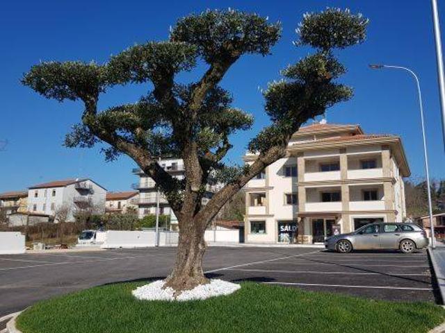 Immobile in affitto a Colleferro RM
