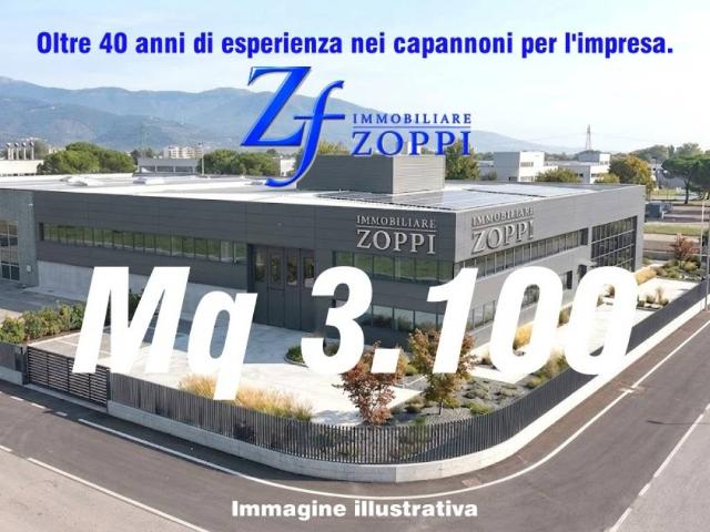 Immobile in affitto a Calenzano FI