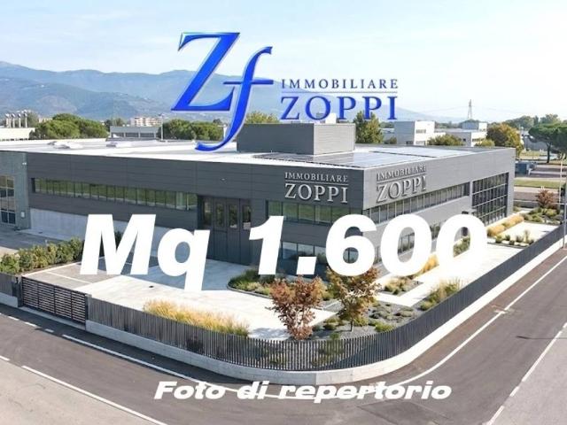Immobile in affitto a Campi Bisenzio FI