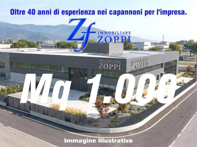 Immobile in affitto a Campi Bisenzio FI