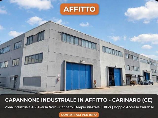 Immobile in affitto a Carinaro CE