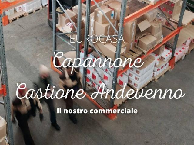 Immobile in affitto a Castione Andevenno SO
