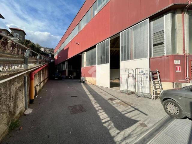 Immobile in affitto a Chiavari GE