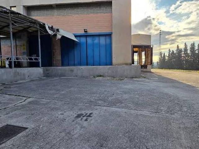 Immobile in affitto a Ancona AN