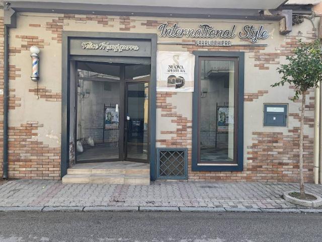 Immobile in affitto a Acerra NA