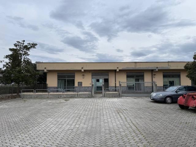 Immobile in affitto a Alatri FR