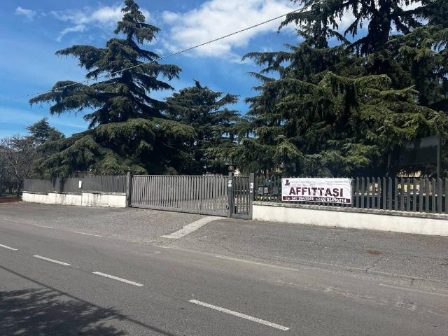 Immobile in affitto a Albano Laziale RM