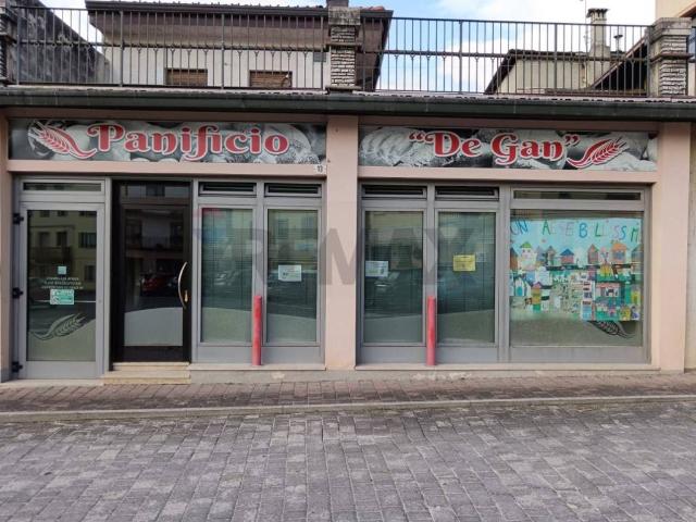 Immobile in affitto a Borgo Valbelluna BL